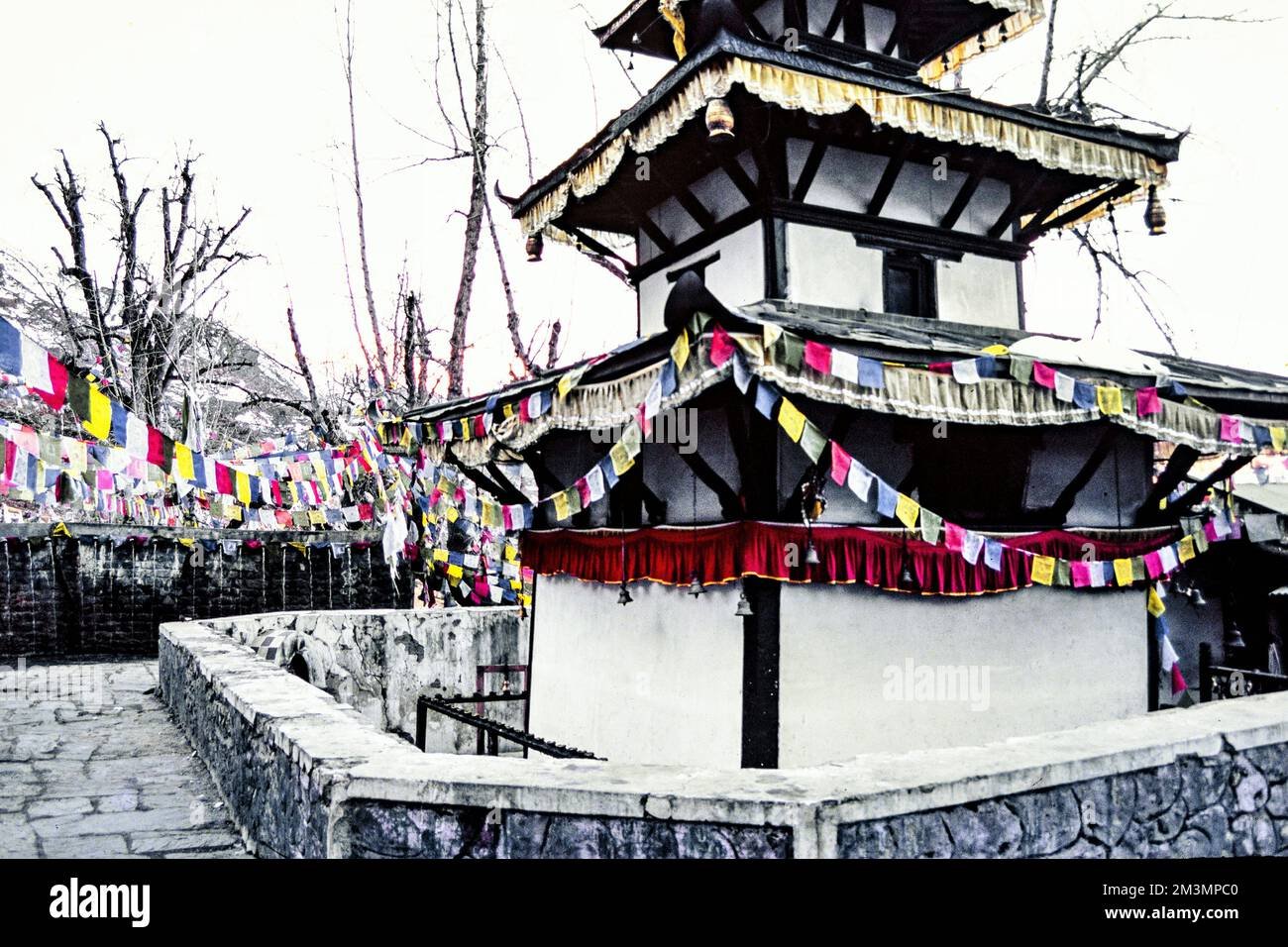 Muktinath Himalayan View